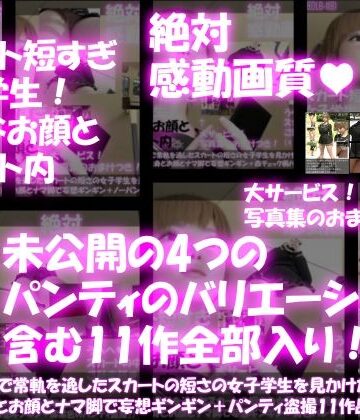 Libido-Labo★早朝のバス内で常軌を逸したスカートの短さの女子学生を見かけた。（一ノ瀬廻里・綺麗でそそるナマ脚とご尊顔をじっくり撮影＆その後スカート内盗撮・未公開の4作品を含む11作品全部入り総集編！）[3DCG]
